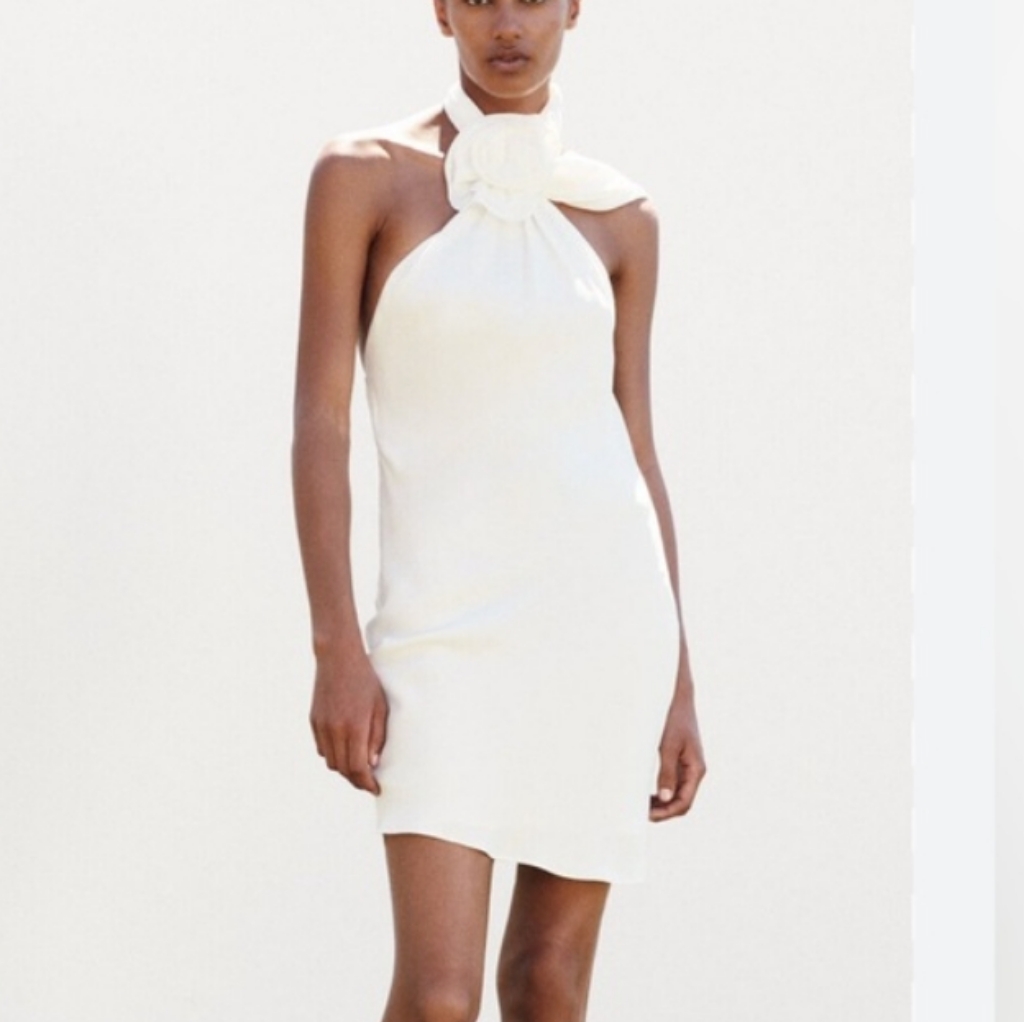 Zara Satin Effect Short Halter Neck Dress